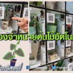 เครื่องจำหน่ายต้นไม้อัตโนมัติ