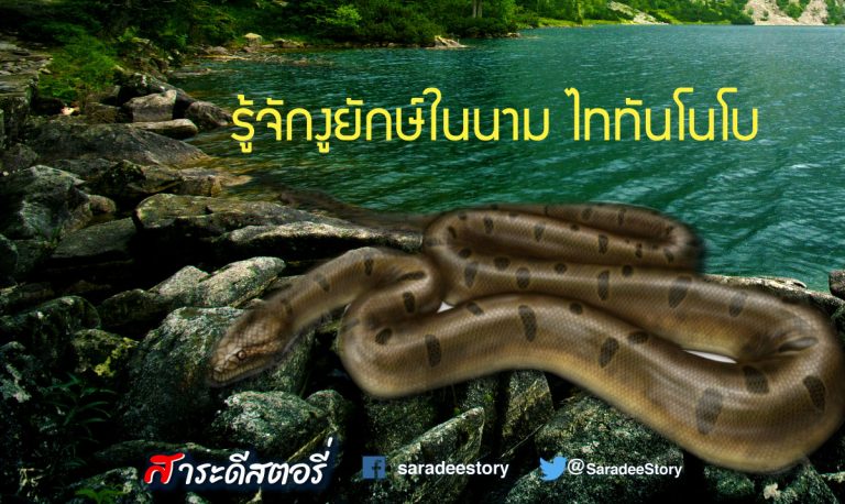 รู้จักงูยักษ์ในนาม ไททันโนโบ