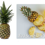 สับปะรดผลไม้เพื่อสุขภาพ