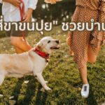 สัตว์เลี้ยงช่วยบำบัดโรคได้อย่างไร