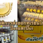สถิติการส่งออกทุเรียนไทยปี64และปี65