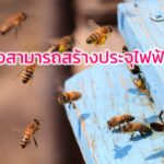 ฝูงผึ้งสามารถสร้างประจุไฟฟ้าได้ 