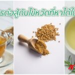 สมุนไพรต่อสู้กับไข้หวัดที่หาได้ในบ้าน