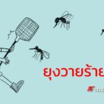 ยุงวายร้ายตัวจิ๋ว