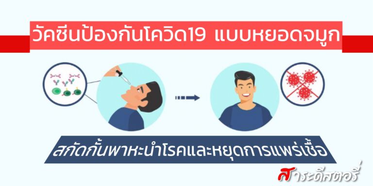 วัคซีนป้องกันโควิด19 แบบเข้าจมูก