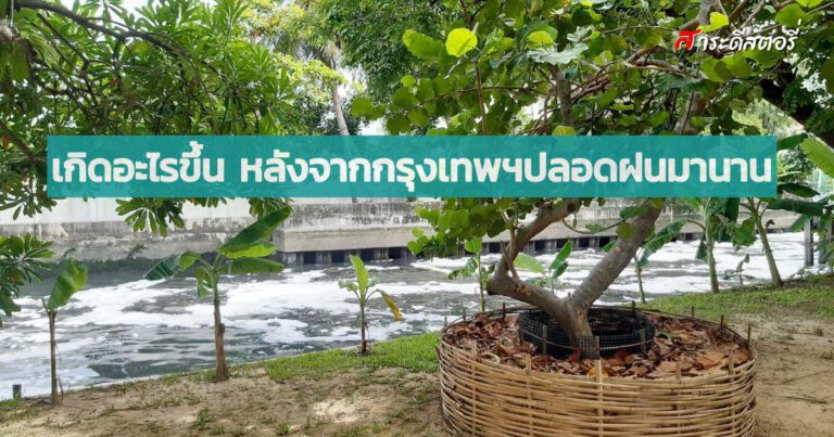 เกิดอะไรขึ้น หลังจากกรุงเทพฯปลอดฝนมานาน