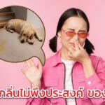 วิธีกำจัดกลิ่นไม่พึงประสงค์ของใช้ในบ้าน