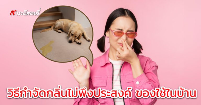 วิธีกำจัดกลิ่นไม่พึงประสงค์ของใช้ในบ้าน
