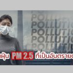วิธีป้องกันฝุ่น PM 2.5 ที่เป็นอันตรายต่อผิวหนัง
