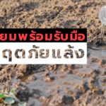 Be prepared to deal with a drought crisis.