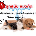 !! ถูกสุนัขกัด ให้รีบไปฉีดวัคซีนป้องกันโรคพิษสุนัขบ้าให้ครบทุกเข็ม