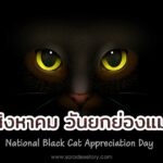 17 สิงหาคม วันยกย่องแมวดำ (National Black Cat Appreciation Day)