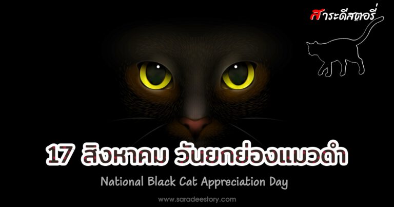 17 สิงหาคม วันยกย่องแมวดำ (National Black Cat Appreciation Day)