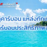 บลูคาร์บอน แหล่งกักเก็บคาร์บอนประสิทธิภาพสูง