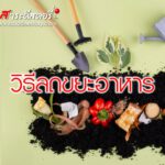 4 นวัตกรรม ในการลดขยะอาหาร