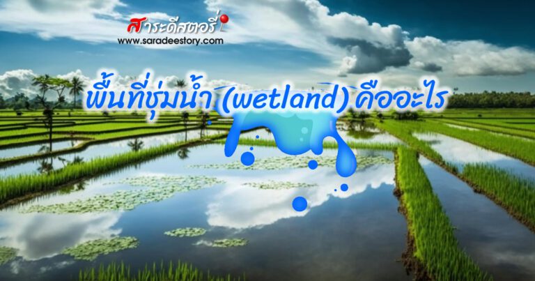 ร่วมอนุรักษ์และฟื้นฟูพื้นที่ชุ่มน้ำ เพื่อเอาชนะวิกฤติสภาพภูมิอากาศ