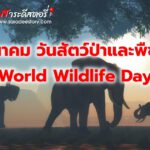 3 มีนาคม วันสัตว์ป่าและพืชโลก (World Wildlife Day)