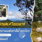 เที่ยวนครศรีธรรมราช อย่าลืมไปอุทยานแห่งชาติน้ำตกโยง