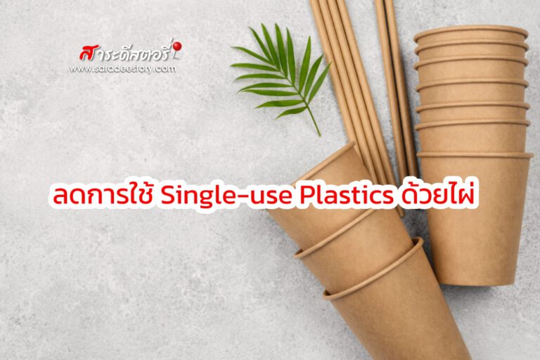 ลดการใช้ Single-use Plastics ด้วยไผ่