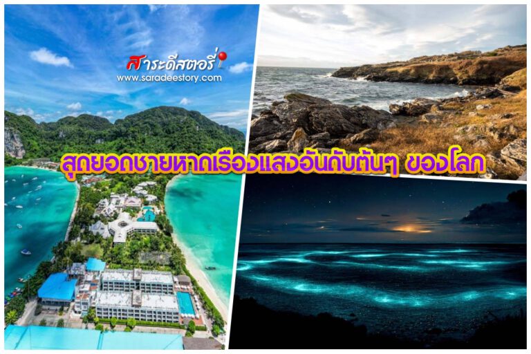 ชมสุดยอดชายหาดเรืองแสงอันดับต้นๆ ของโลก