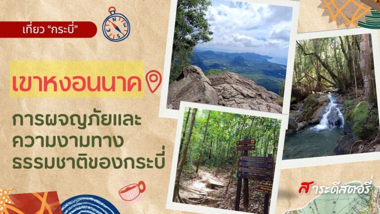 เที่ยว”เขาหงอนนาค” การผจญภัยและความงามทางธรรมชาติของกระบี่