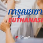 การุณยฆาต