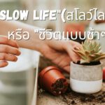 "Slow life"(สโลว์ไลฟ์) หรือ "ชีวิตแบบช้าๆ"