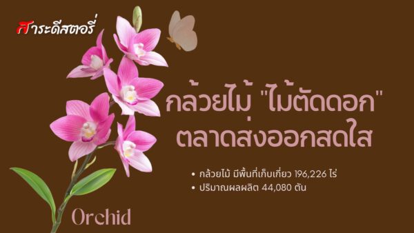 “ไม้ตัดดอก” ตลาดส่งออกสดใส