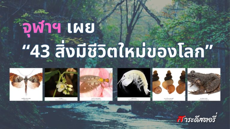จุฬาฯ เผย  “43 สิ่งมีชีวิตใหม่ของโลก” พบในไทย