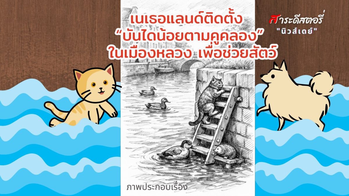 เนเธอแลนด์ติดตั้ง “บันไดน้อยตามคูคลอง” ในเมืองหลวง