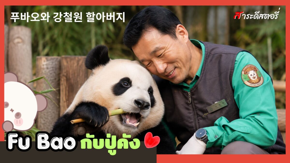 Fu Bao กับปู่คัง