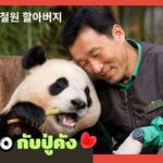 Fu Bao กับปู่คัง