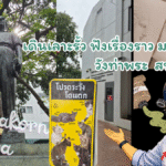 ม.ศิลปากร วังท่าพระ